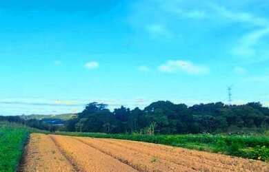 Imagem 16: Lote/Terreno para venda possui 500 metros quadrados em Centro São João...