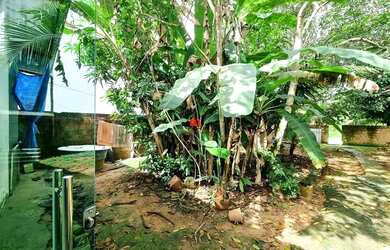 Imagem 16: Casa Terrea no Bosque das Palmas 2 Qts 375m² e um grande quintal para lazer