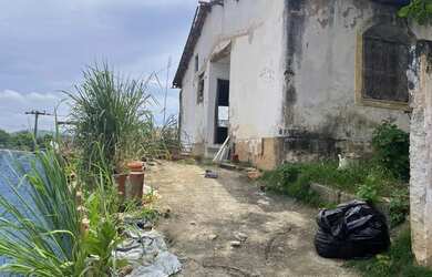 Imagem 8: Terreno em Capela do Alto