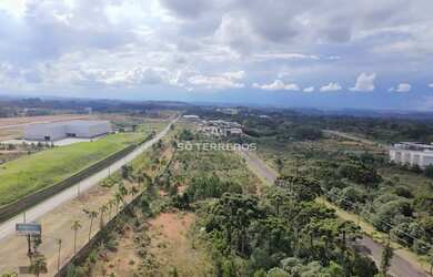 Imagem 2: Venda - Terrenos Industriais - Outras Localidades - Farroupilha - RS