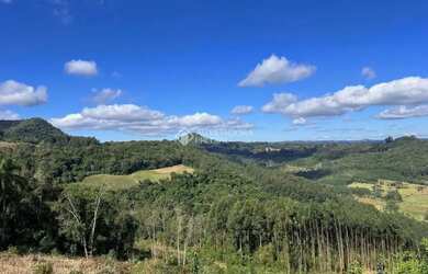 Imagem 7: Área Pinhal Alto- Nova Petrópolis/RS