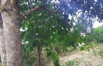 Imagem 11: Casa com quintal com 10 largura e 82 de comprimento