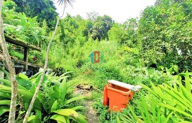 Imagem 4: Freguesia Jacarepaguá Terreno