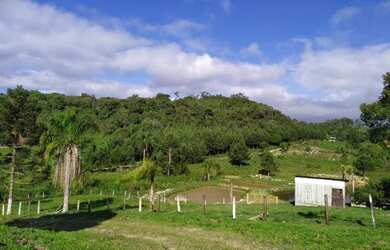 Imagem: O terreno à venda possui e está localizado em Tijucas do