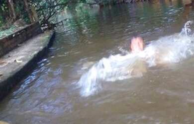 Imagem 10: Sítio na estrada de Caxias por trás do balneário Chico 18 com Riacha...