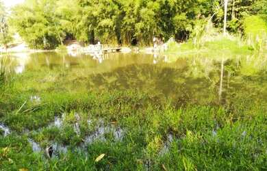 Imagem 1: Sítio com rio em - Betim - MG