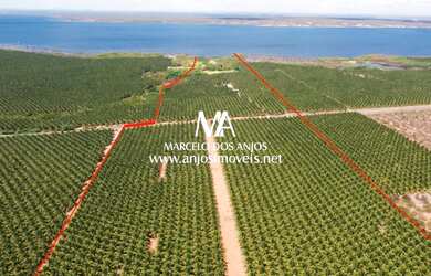 Imagem 3: Fazenda São João