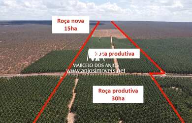 Imagem 14: Fazenda São João