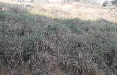 Imagem: O terreno possui 1m² de Área e está localizado em Pedro do