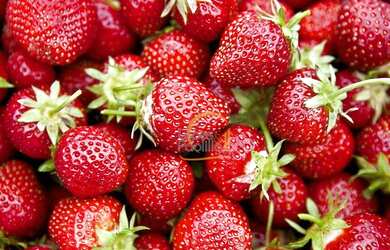 Imagem 3: ÓTIMA CASA À VENDA NO BAIRRO VILA GIGLIO EM ATIBAIA