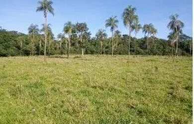 Imagem 3: Fazenda à venda, 396 hectares por R$ 3.100.000 - Zona Rural - Luziânia/GO