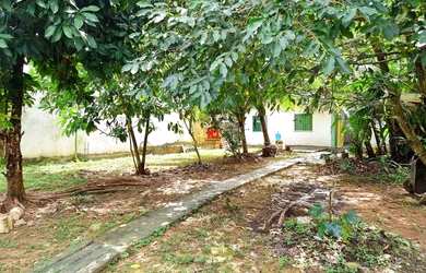 Imagem 7: Casa Terrea no Bosque das Palmas 2 Qts 375m² e um grande quintal para lazer