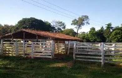 Imagem 11: Fazenda à venda, 396 hectares por R$ 3.100.000 - Zona Rural - Luziânia/GO
