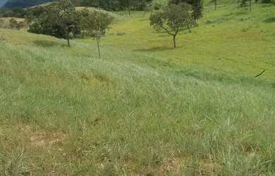 Imagem: A fazenda possui 1.000.000m² de Área e está localizado em