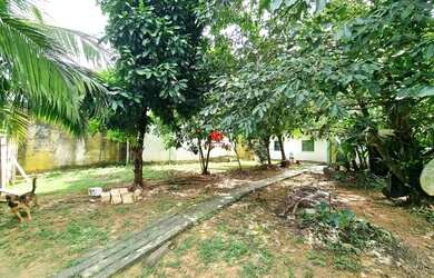 Imagem 9: Casa Terrea no Bosque das Palmas 2 Qts 375m² e um grande quintal para lazer