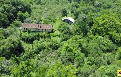 Imagem 4: Sítio / Chácara para Venda em Nova Petrópolis, Linha Olinda, 2 dormitórios,...