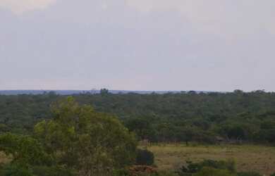 Imagem 7: Fazenda de 226 Hectares em Formoso MG Escriturada