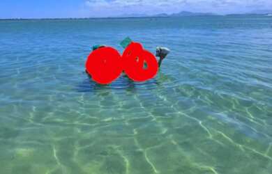 Imagem 15: Aluga-se temporada fins de semana feriados