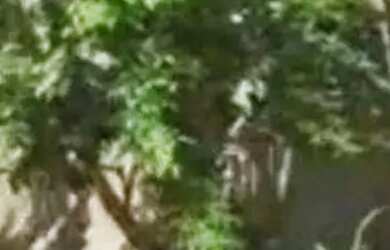 Imagem 5: Pousada à venda, 1000 m² por R$ 1.500.000,01 - Barra Grande - Vera Cruz/BA