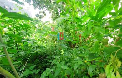 Imagem 5: Freguesia Jacarepaguá Terreno