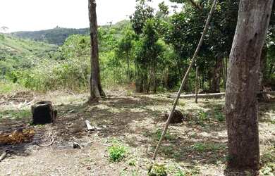 Imagem: A fazenda possui 25.000m² de Área Privada e está localizado