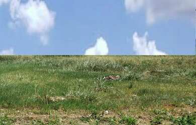 Imagem: O terreno possui 250m² de Área e está localizado em Patrimônio