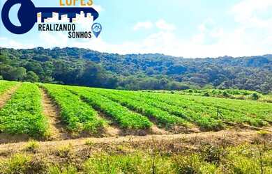 Imagem 8: Lote/Terreno para venda possui 500 metros quadrados em Centro São João...