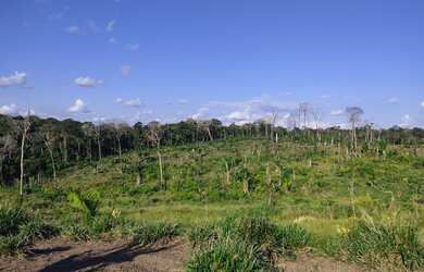 Imagem: A fazenda está localizado em Manoel Urbano, AC à venda por
