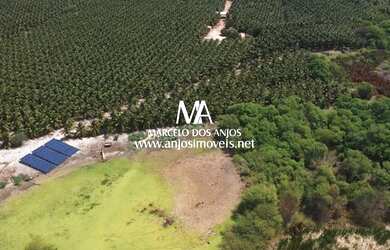 Imagem 10: Fazenda São João