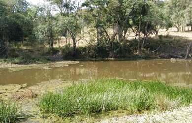 Imagem 10: Sitio Pilar do Sul SP. 96.800m² de Área