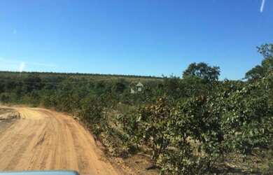 Imagem 12: Fazenda em Jalapão. Imóvel novoe2.676m² de Área