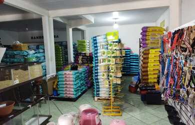 Imagem 4: Vendo uma loja petshopp