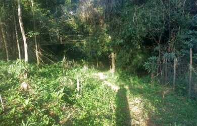 Imagem 15: vende-se terreno 810m² urgente