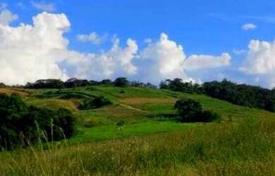 Imagem 11: 11O- Vendo Terreno de 500m2 com apenas R$ 10 Mil de ENTRADA