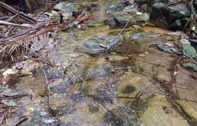 Imagem 14: Maravilhoso Sítio Em Rio Preto M.G. 168 Hectares