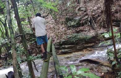 Imagem 7: Maravilhoso Sítio Em Rio Preto M.G. 168 Hectares