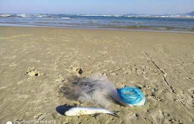 Imagem 4: Casa de Praia em Imbituba