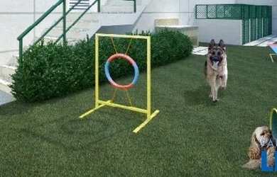 Imagem 4: APARTAMENTO - MORUMBI - SP