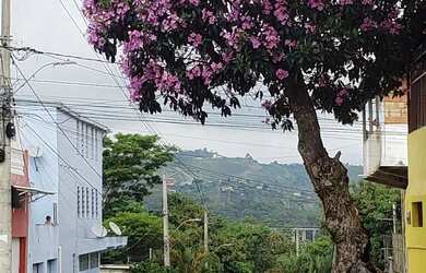 Imagem: O apartamento possui 1 Dormitório, 1 Banheiro, 23m² de Área