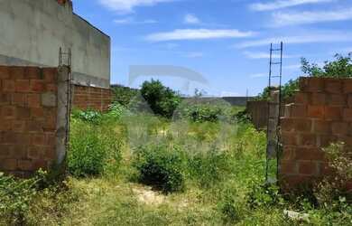 Imagem: Lote/Terreno no Bairro Robalo - 250m²