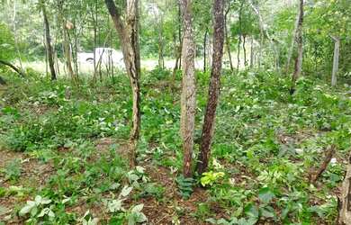 Imagem: O terreno possui 260m² de Área e está localizado em Setor