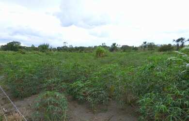 Imagem 4: Fazenda de 226 Hectares em Formoso MG Escriturada