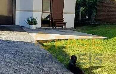 Imagem 13: Casa com edícula com 3 dormitórios à venda, 79,62 m² por R$ 495.000,00...