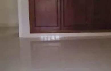 Imagem 6: Casa com 3 dormitórios, 260 m² - venda por R$ 1.000.000,00 ou aluguel...