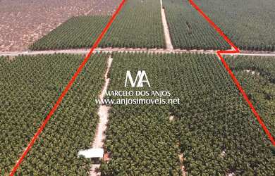 Imagem 13: Fazenda São João