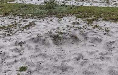 Imagem 16: Maravilhoso Sítio Em Rio Preto M.G. 168 Hectares