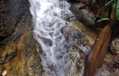 Imagem 4: Maravilhoso Sítio Em Rio Preto M.G. 168 Hectares