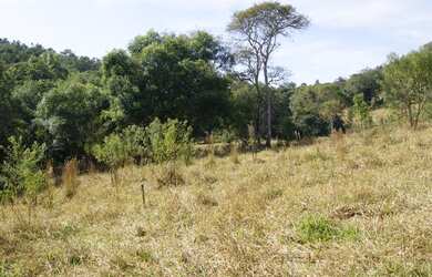 Imagem: A chácara possui 96.800m² de Área e está localizado em