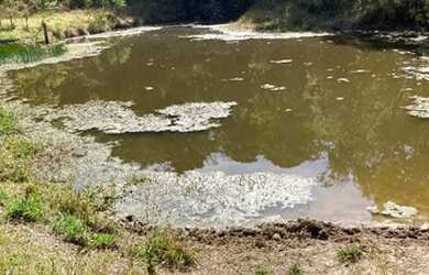 Imagem 14: Sitio Pilar do Sul SP. 96.800m² de Área