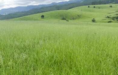 Imagem 11: 10.000m² de terra na Represa de Igaratá por apenas 150mil